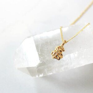 NWT Gold Plated Adjustable Necklace